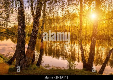 Sunrise on a pond with birch trees growing along the banks and the sky reflected in the water in early summer. Stock Photo