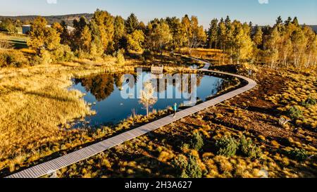 Peat bog near Pernink village in Krusne hory,Ore mountains,Czech Republic.Protected nature reserve.Colorful aerial landscape.Top view drone shot Stock Photo