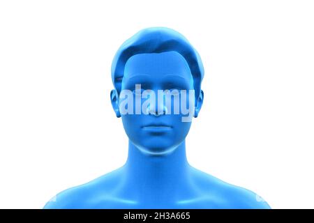 Man, Head of Human Male, 3D
