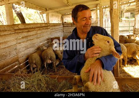 FRANCE. PROVENCE REGION. ALPES-MARITIMES (06)  VALBONNE. THE AFSSA LABORATORIES IN THE SOPHIA ANTIPOLIS BUSINESS PARK. THE PATHOLOGY UNIT FOR GRAZING Stock Photo