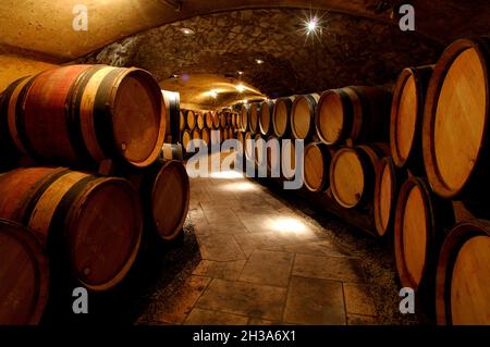 FRANCE. RHONE (69) CONDRIEU. CHATEAU D'AMPUIS. THE GUIGAL ESTATE OWNS SOME OF THE FAMOUS PARCELS PRODUCING AMONGST OTHER WINES THE  LA DORIANE AND FAM Stock Photo