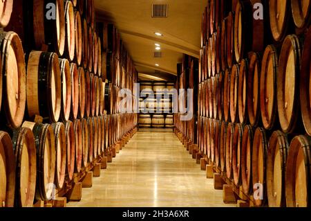 FRANCE. RHONE (69) CONDRIEU. CHATEAU D'AMPUIS. THE GUIGAL ESTATE OWNS SOME OF THE FAMOUS PARCELS PRODUCING AMONGST OTHER WINES THE  LA DORIANE AND FAM Stock Photo