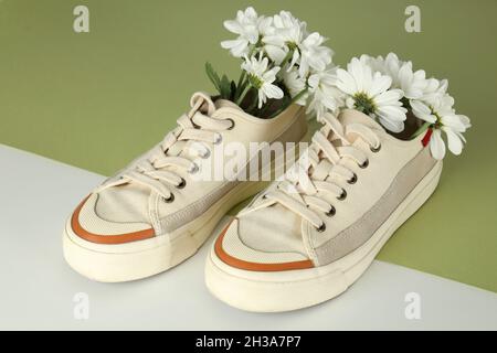 Pair of sneakers with flowers on two tone background Stock Photo