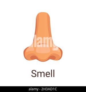 Vector illustration one of five senses - smell. Stock Vector