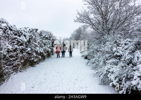 General view of walkers on Hounslow Heath during a heavy snow storm on 24th January 2021. Stock Photo