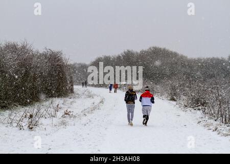 General view of walkers on Hounslow Heath during a heavy snow storm on 24th January 2021. (See 2H3AH0B for B&W cropped version of this image) Stock Photo