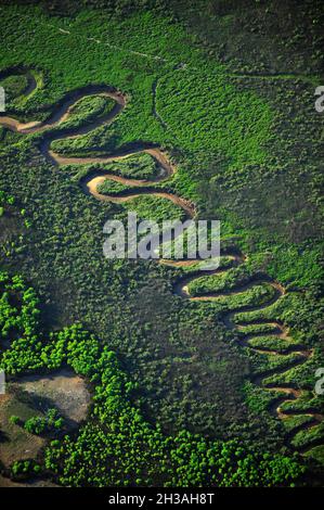 FRANCE. GIRONDE (33) ARCACHON BASSIN. BIRDS ISLAND Stock Photo