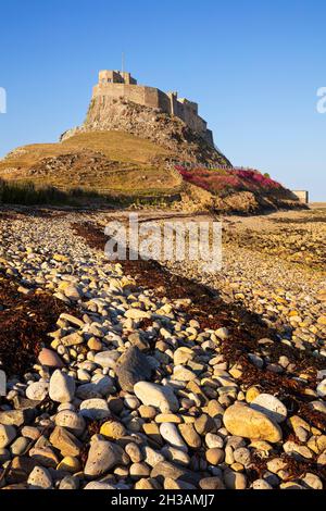 Lindisfarne Castle from Holy Island beach Lindisfarne Island Holy Island Lindisfarne Northumberland England UK GB Europe Stock Photo