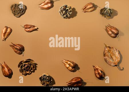 Dry leaves and pine cones on a brown background with copy space Stock Photo