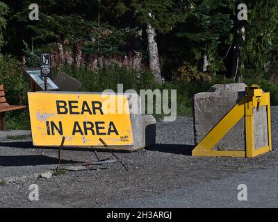 Yellow colored warning sign (bear in area) informing about wildlife activity in the area near trailhead in Mount Seymour Provincial Park. Stock Photo