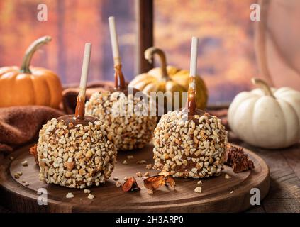 Caramel apples coated with nuts on a wooden platter with autumn background by a window Stock Photo