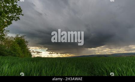Rain and storm clouds over agricultural corn field, Eifel, Germany Stock Photo