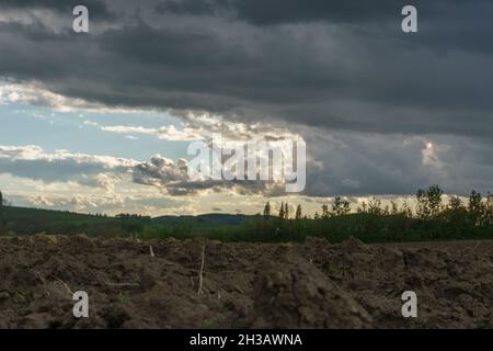 Rain and storm clouds over plowed agricultural field, Eifel, Germany Stock Photo