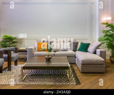 Comfortable gray sofa with colorful cushions placed near table on rug in spacious modern room with armchairs and green potted plants