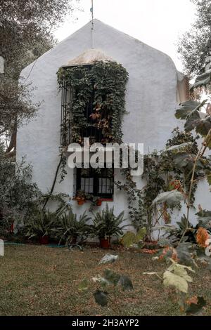Country house surrounded by lush trees shrubs and tall grass with a ...