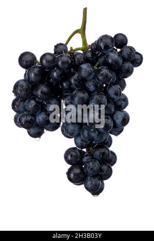 Dark blue grape with leaves isolated on white background Stock Photo
