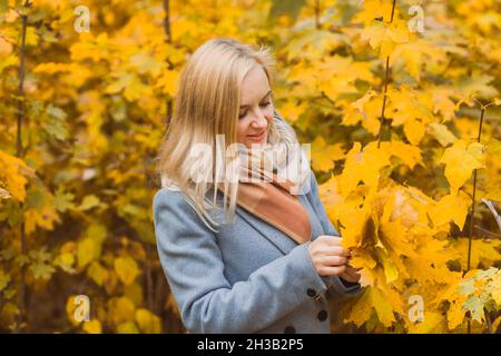 A woman holds maple yellow leaves in her hands in a park against a background of trees, enjoys autumn and nature. Authentic 40-year-old woman without Stock Photo