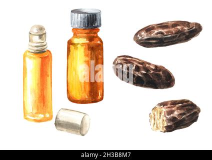 Essential Oil Made From Tonka Beans Stock Photo - Download Image Now - Tonka  Bean, Perfume, Scented - iStock