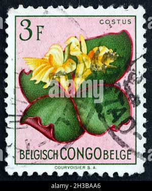 BELGIAN CONGO - CIRCA 1952: a stamp printed in Belgian Congo shows Costus, Flowering Plant, circa 1952 Stock Photo