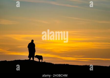 Black and white silhouette of man and his dog on top of hill at sunset -  room for text copy Stock Photo