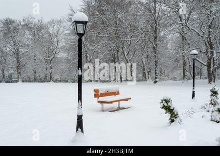 A single wood park bench sits in a meadow at a park. There's a black metal lamp post with a glass light. The background has tall trees without leaves. Stock Photo