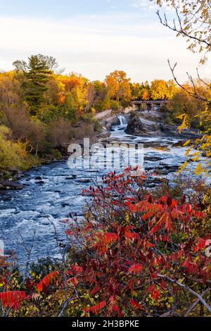 The Hog's Back Falls and Bridge, Prince of Wales Falls waterfalls on the Rideau River in Ottawa city of Canada in autumn. Colorful nature in park with Stock Photo