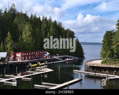 View of harbour basin of Telegraph Cove, Vancouver Island in autumn (off-season) with buildings on stilts, pier and whale watching boats. Stock Photo