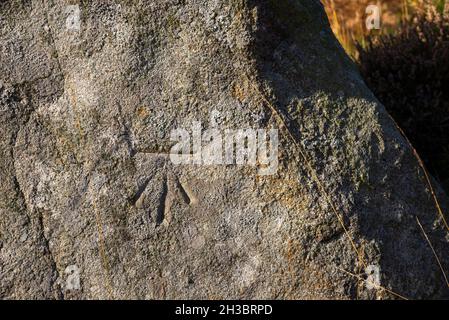 Benchmark carved into a boulder beside the Pennine Way at Crowden in North Derbyshire, England. Stock Photo