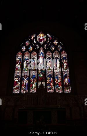 Stained glass window in Britains second smallest cathedral.  St Asaphs cathedral, St Asaph. Denbighshire, Wales. Stock Photo
