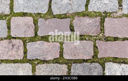 Granite pavement from rectangular shaped stones, overgrown with moss as background Stock Photo