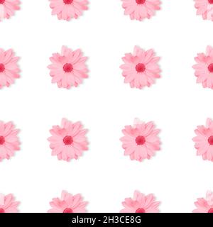 Monochrome pastel pink flower floral seamless pattern isolated on white background. Chamomile or chrysanthemum flower pattern. Copy space, top view Stock Photo