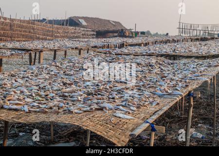 Drying fish at Dublar Char Dubla island , Bangladesh Stock Photo