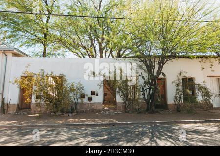 Trees shade a home in Barrio Viejo, Tucson, AZ, built in the adobe/pueblo style Stock Photo