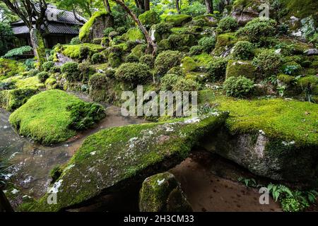 The strolling garden at Kyorinbo was designed by Kobori Enshu during the Momoyama period . It is open for a limited time every year only on weekends a Stock Photo