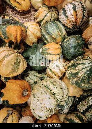 Mini pumpkins on market. Top view photo. Stock Photo