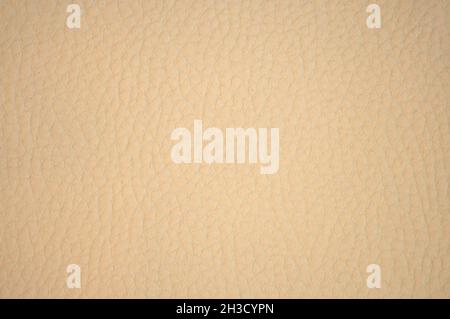 A fragment of pale beige genuine leather with wrinkles and folds, close-up. Background, pattern, texture. Stock Photo