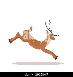 Young noble sika deer. Reindeer with antlers in jump. Ruminant mammal animal. Vector illustration in flat cartoon style Stock Vector