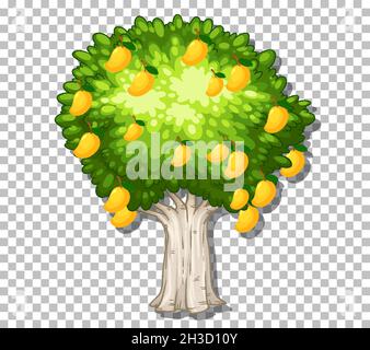 Mango tree on transparent background illustration Stock Vector