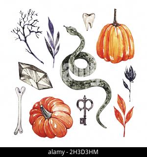 watercolor halloween element set design vector illustration Stock Vector