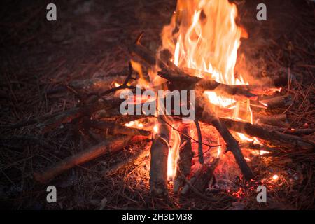 night bonfire, photograph of the hearth, burning bonfire, tourism. Stock Photo