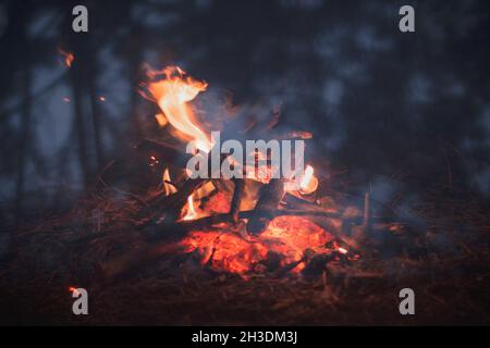 night bonfire, photograph of the hearth, burning bonfire, tourism. Stock Photo