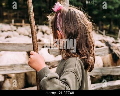 Cute little girl in casual clothes playing with wooden stick standing on grassy meadow near flock of sheep in enclosure in farmyard Stock Photo