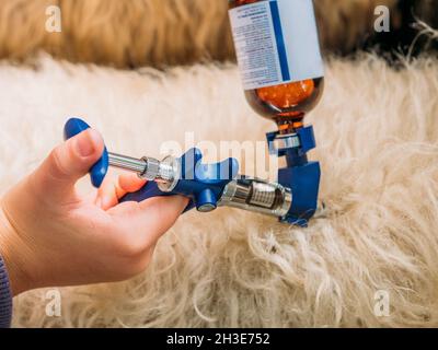 From above of crop unrecognizable male veterinarian making injection to fluff sheep standing in enclosure in farmyard Stock Photo
