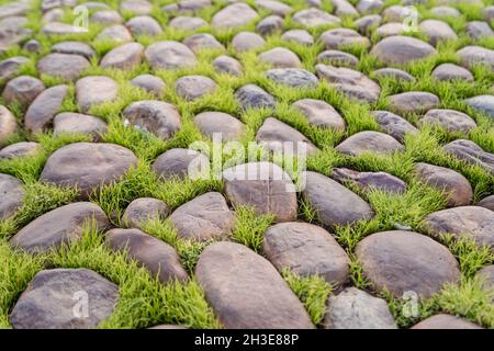 From above unrecognizable person holding festive glittered Easter egg during preparation for holidays on pink background Stock Photo