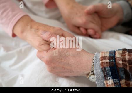 Aged man holding his wifes hands in bed on white bed sheet. Hands of old man with wrist watch holding old womans hands. || Model approval available Stock Photo