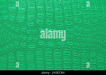 Green crocodile leather texture. Abstract background for design. Stock Photo
