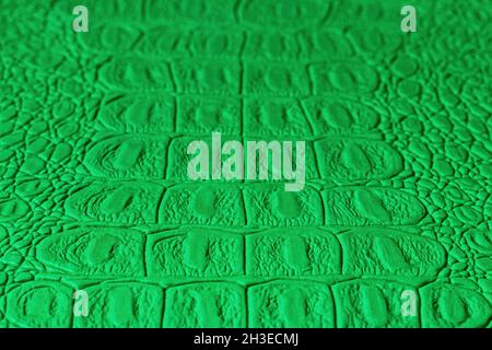 Green crocodile leather texture. Abstract background for design. Stock Photo