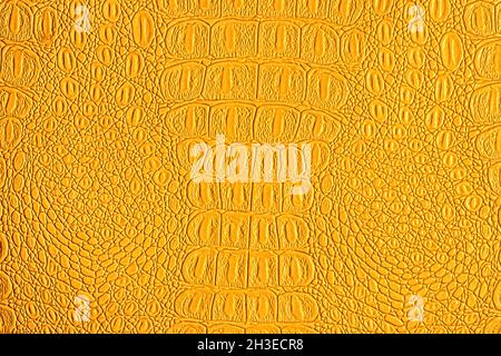 Orange crocodile leather texture. Abstract background for design. Stock Photo