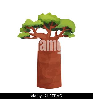 Baobab tree or monkey bread tree African in cartoon style isolated on white background. Savannah jungle forest object. . Vector illustration Stock Vector