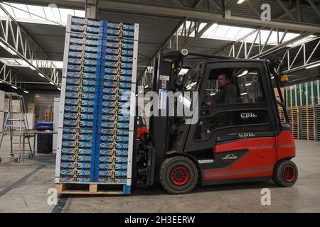 (211028) -- SINT-GILLIS-WAAS, Oct. 28, 2021 (Xinhua) -- A staff member transports Belgian conference pears to be exported at a facility of BFV (Belgian Fruit Valley) in Vrasene, Belgium, Oct. 22, 2021. At the upcoming 4th China International Import Expo (CIIE) to be held this November in Shanghai, Dole and BFV (Belgian Fruit Valley) will introduce a Belgian red conference pear to the Chinese and Asian market for the first time. This conference pear with dark red skin is a variety of the green conference pear which had sold well on the Chinese market for the past decade. (Xinhua/Zheng Huansong) Stock Photo